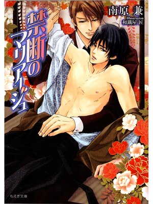 cover image of 禁断のマリアージュ